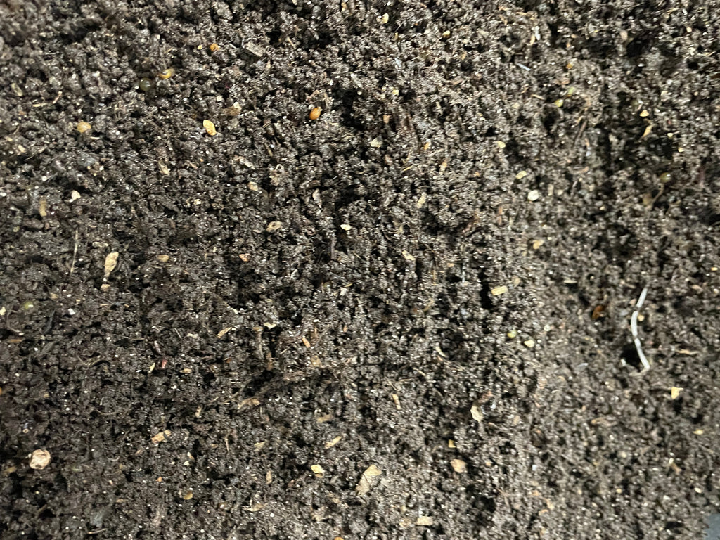 Premium Wurmkompost Nahaufnahme - Bio Wurmhumus Struktur